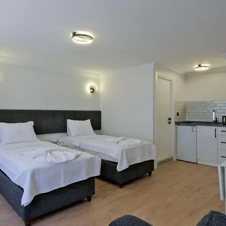 ホテル Miralya フェティエ