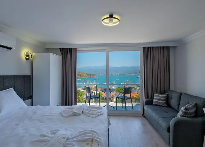 ホテル Miralya フェティエ